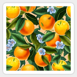 Sicilian oranges Sticker